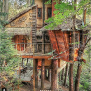 doktor_frankenstein_88