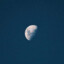 Moooon