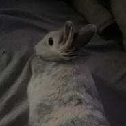 ℜ𝟺𝔴𝔴 :3