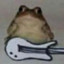 Frog guitariste