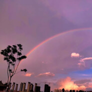 想想鹏鹏会怎么干