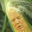 Cornald Trump