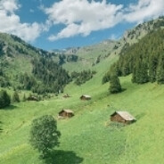 本 SpagheTTI Wodospad