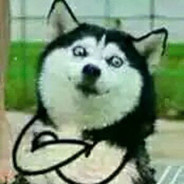 斗鱼最菜主播吉某人