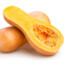 Butternut Squash