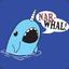 I am Narwhal