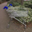 Tesco Trolley