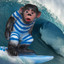 monkeysurfpatrol