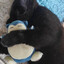 hawktuahsnorlax