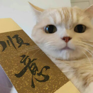 明