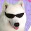 GoTo