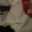 Spike Wess's Avatar