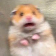 에펙 먹고 밥만 하는 놈