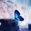 bookbutterfly04