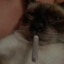CIGO | cludy_