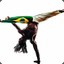 capoeira