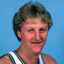 Larry Bird Feeds