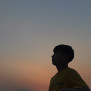 买车容易养车难