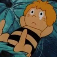 пчелка майя