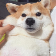 什么档次跟我玩同一场派派