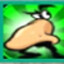 pipo