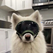 Big Avatar