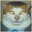 MF Gingy avatar