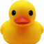 flappyducko