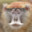 PatasMonkey