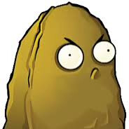 Tallnut