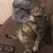 саня распиздяй