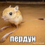 килька