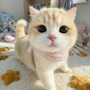 踹瘸子那条好腿