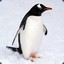 ☂mssparklypenguin2017