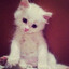 lonely&#039;