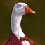 Mr. Goose
