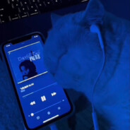 梅长江说明所有