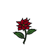 ✞r o s e   b o y✞