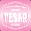 Tesar