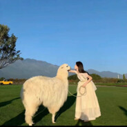 你的菜里有口水