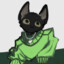 猫猫猫猫王