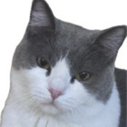 悲伤玉米排骨汤