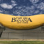 big banana