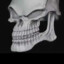 skull