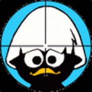 Terran - steam id 76561197960329815