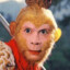 Monkey Pox