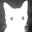 shou