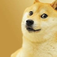 DOG IS BEST FOOD
