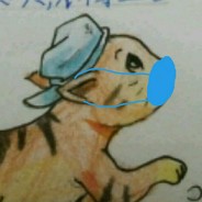 老速度之星Royyo