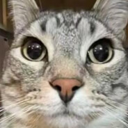 她，飞霄，步离人；我，飞舞，步施人